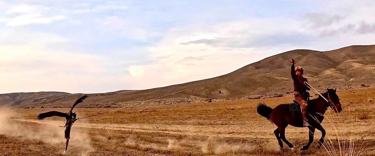 A golden eagle flying low across dry steppe towards a hunter at a gallop on horseback, dust rising behind the horse.
