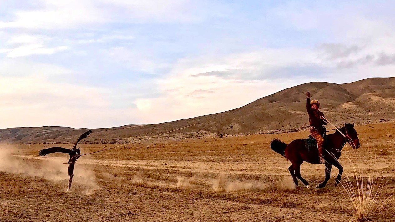 A golden eagle flying low across dry steppe towards a hunter at a gallop on horseback, dust rising behind the horse.