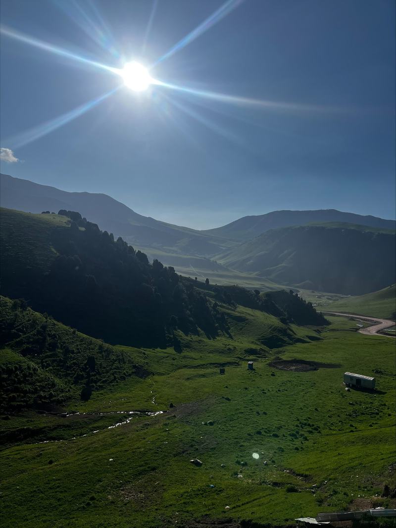 A green summer valley with a stream running through grazing land, forested slopes on one side and mountains beyond, the sun high and flaring.